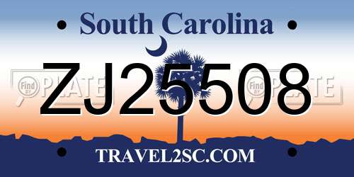 ZJ25508 South Carolina License Plate