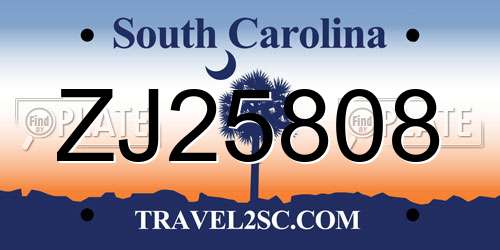 ZJ25808 South Carolina License Plate