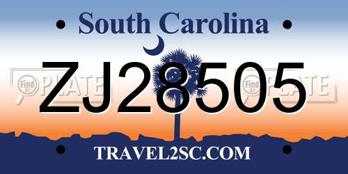 ZJ28505 South Carolina License Plate