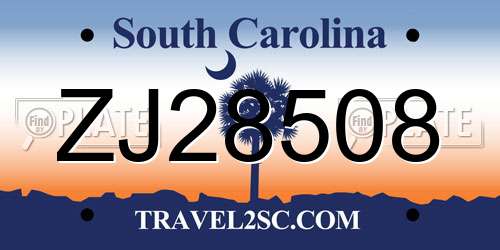 ZJ28508 South Carolina License Plate