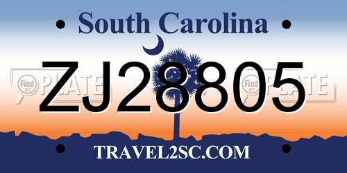 ZJ28805 South Carolina License Plate