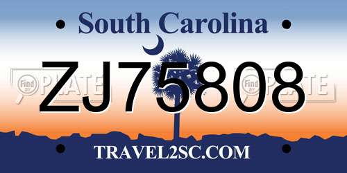 ZJ75808 South Carolina License Plate