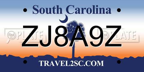 ZJ8A9Z South Carolina License Plate