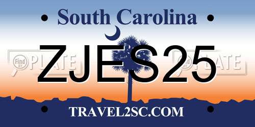 ZJES25 South Carolina License Plate