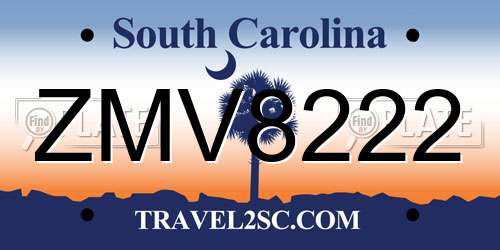 ZMV8222 South Carolina License Plate