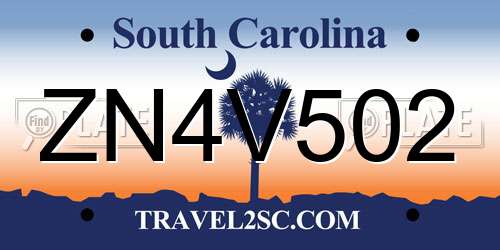 ZN4V502 South Carolina License Plate