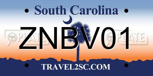 ZNBV01 South Carolina License Plate
