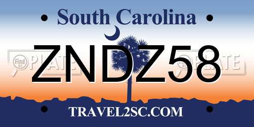 ZNDZ58 South Carolina License Plate