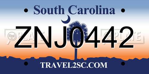 ZNJ0442 South Carolina License Plate