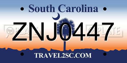 ZNJ0447 South Carolina License Plate