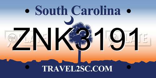 ZNK3191 South Carolina License Plate