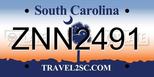 ZNN2491 South Carolina License Plate