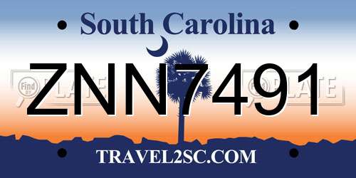 ZNN7491 South Carolina License Plate