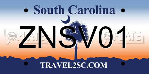 ZNSV01 South Carolina License Plate