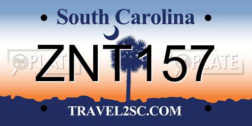 ZNT157 South Carolina License Plate