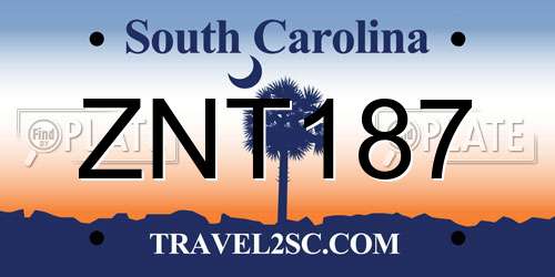 ZNT187 South Carolina License Plate