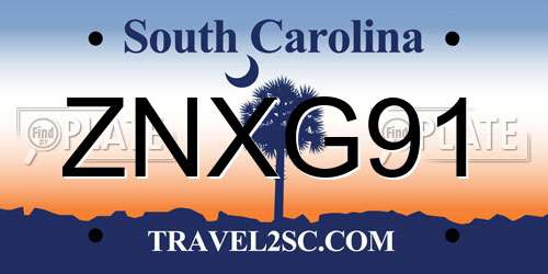 ZNXG91 South Carolina License Plate