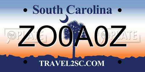 ZO0A0Z South Carolina License Plate