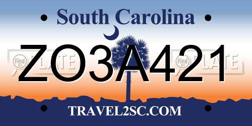 ZO3A421 South Carolina License Plate