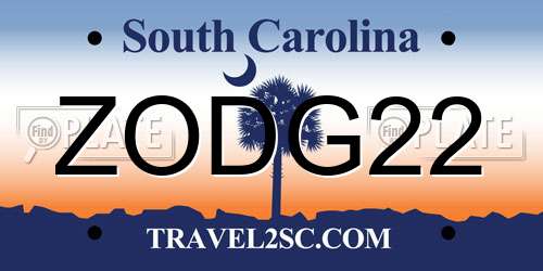 ZODG22 South Carolina License Plate
