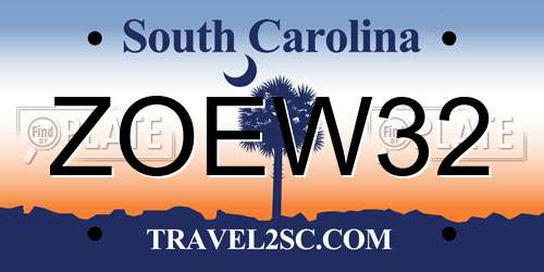ZOEW32 South Carolina License Plate