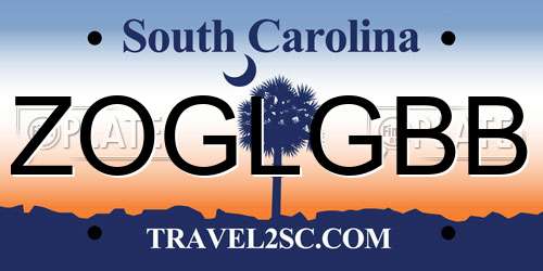 ZOGLGBB South Carolina License Plate