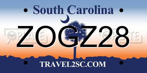 ZOGZ28 South Carolina License Plate