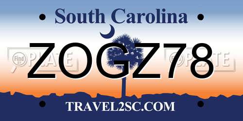 ZOGZ78 South Carolina License Plate