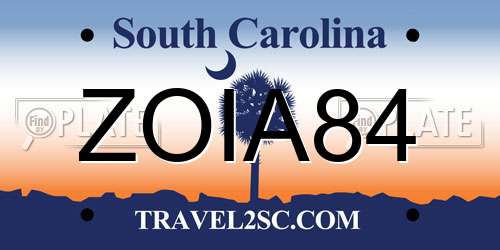 ZOIA84 South Carolina License Plate