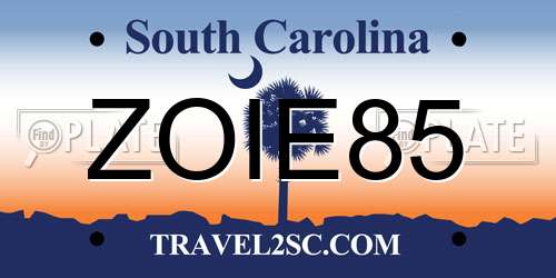 ZOIE85 South Carolina License Plate