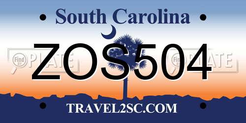 ZOS504 South Carolina License Plate