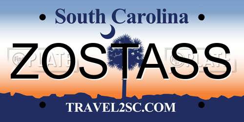ZOSTASS South Carolina License Plate