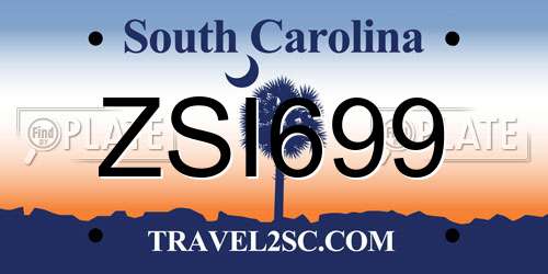 ZSI699 South Carolina License Plate