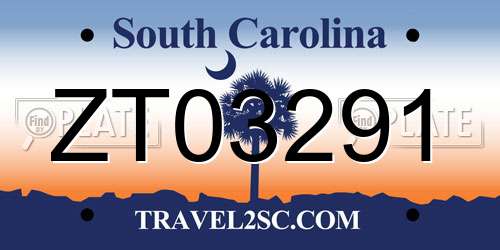 ZT03291 South Carolina License Plate