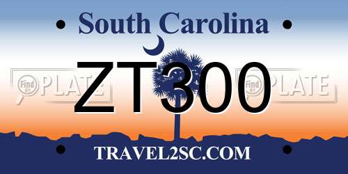ZT300 South Carolina License Plate