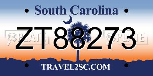 ZT88273 South Carolina License Plate