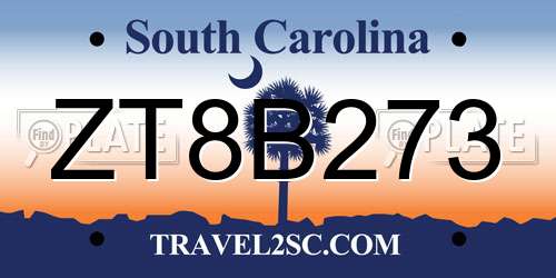ZT8B273 South Carolina License Plate
