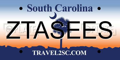 ZTASEES South Carolina License Plate