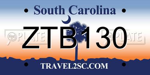 ZTB130 South Carolina License Plate