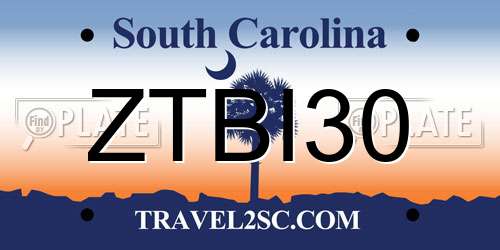 ZTBI30 South Carolina License Plate