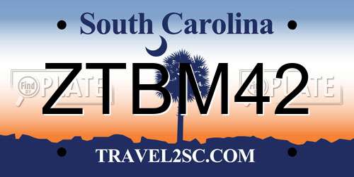 ZTBM42 South Carolina License Plate