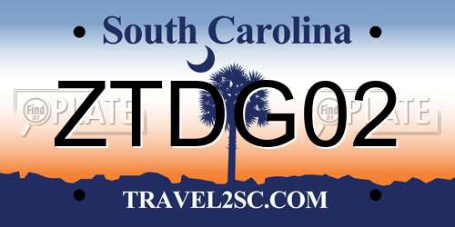 ZTDG02 South Carolina License Plate