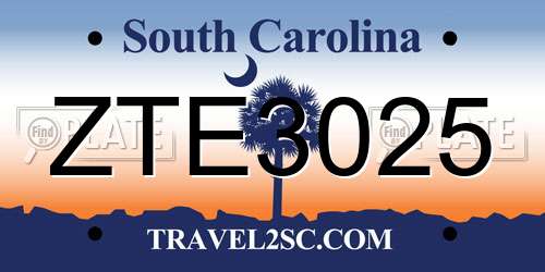 ZTE3025 South Carolina License Plate