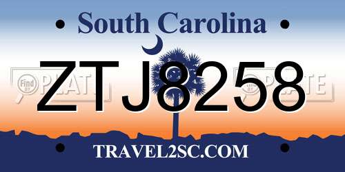 ZTJ8258 South Carolina License Plate