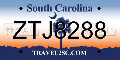 ZTJ8288 South Carolina License Plate
