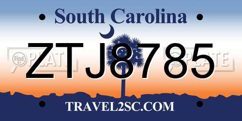 ZTJ8785 South Carolina License Plate