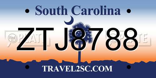 ZTJ8788 South Carolina License Plate
