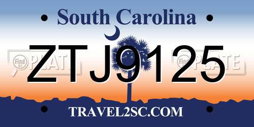 ZTJ9125 South Carolina License Plate