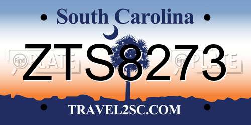 ZTS8273 South Carolina License Plate