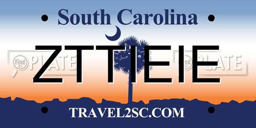 ZTTIEIE South Carolina License Plate